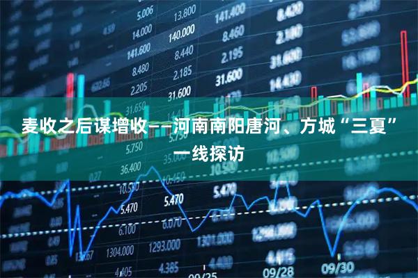 麦收之后谋增收——河南南阳唐河、方城“三夏”一线探访