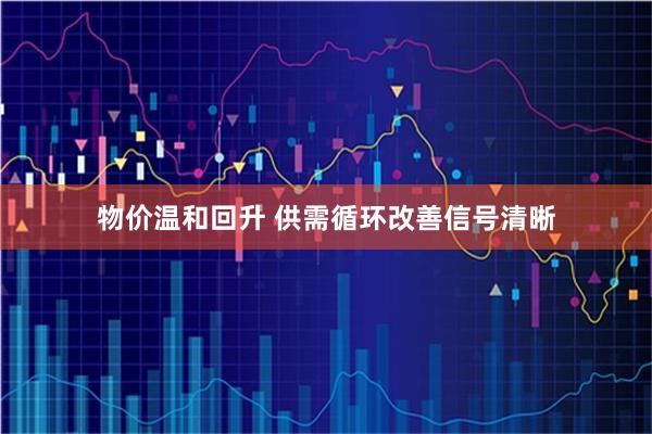 物价温和回升 供需循环改善信号清晰